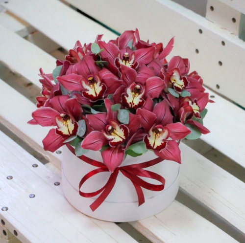 Купити орхідеї в шляпной коробці Дніпро